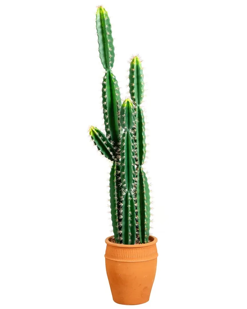 5ft Artificial Cactus in Terracotta Planter - Green