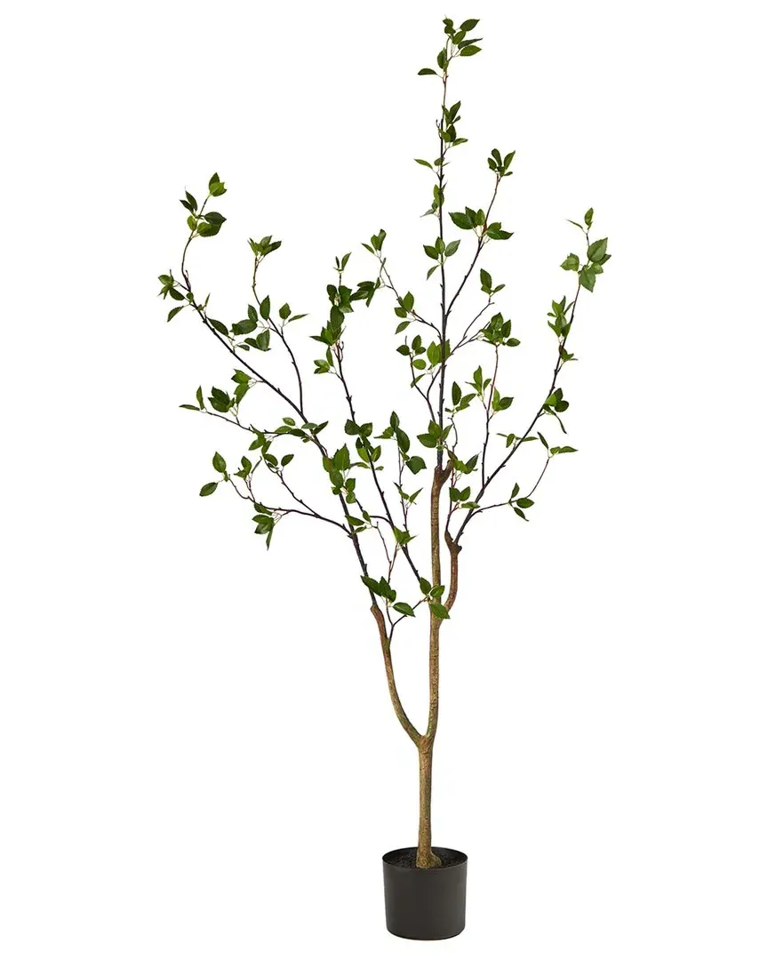 5ft Citrus Artificial Tree - Green image