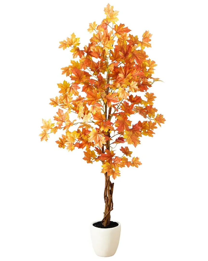 5ft Double Trunk Maple Tree in Decorative Planter - Orange