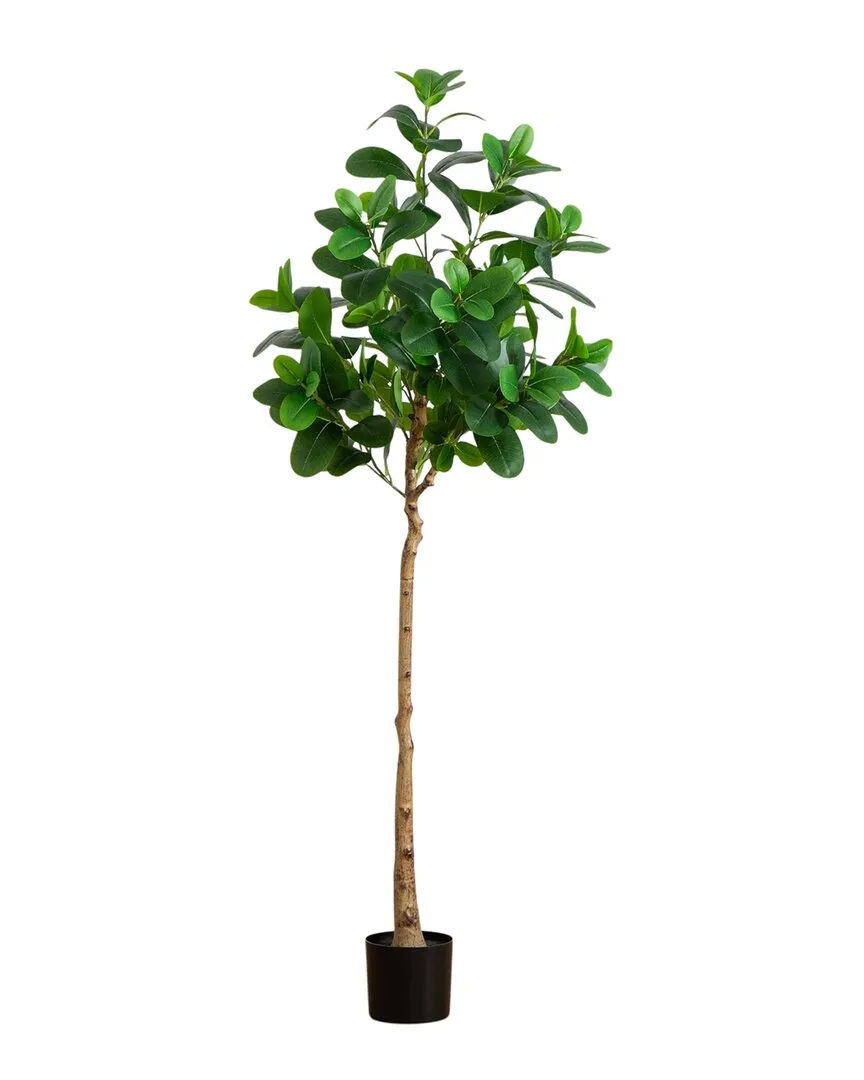 6ft Artificial Audrey Ficus Tree - Green