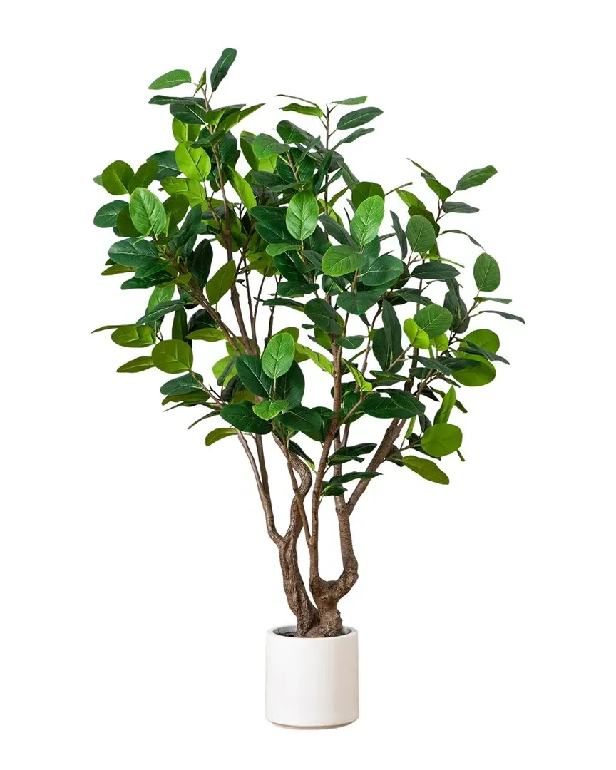 6ft Artificial Audrey Ficus Tree with Planter - Green