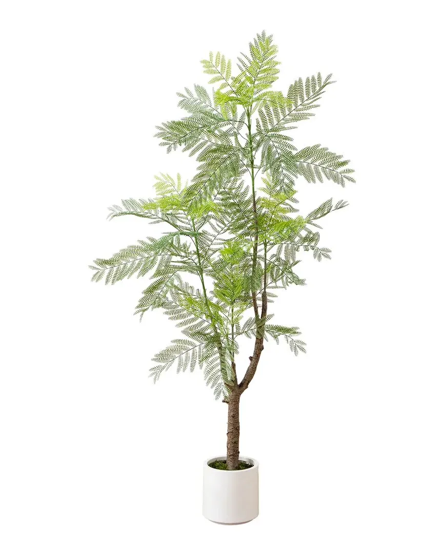 6ft Artificial Jacaranda Tree in Decorative Planter - Green