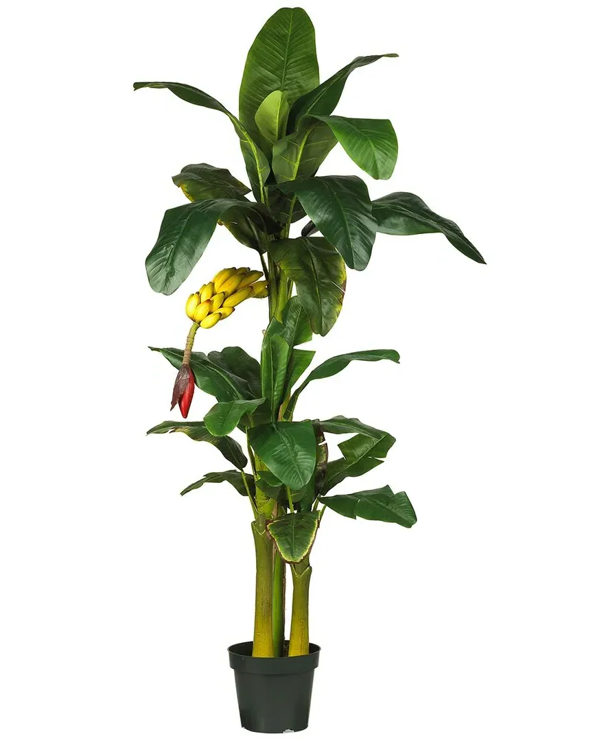 6ft Triple Stalk Banana Silk Tree - Green image
