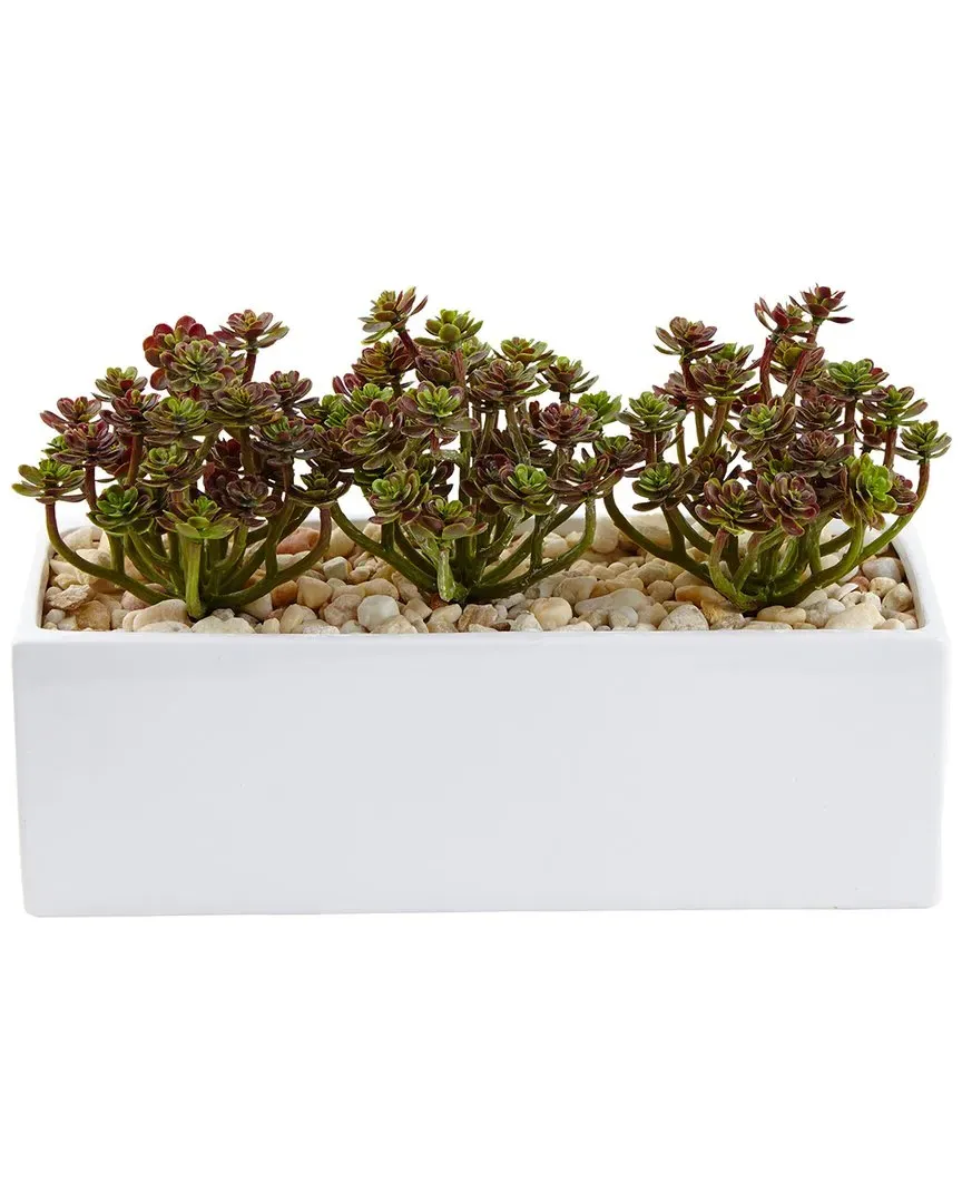 7.75in Sedum Artificial Arrangement in Rectangular Planter - Green image