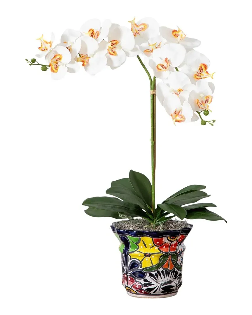 Artificial Double Orchid Arrangement in Handmade Mexican Talavera Ceramic Planter - White
