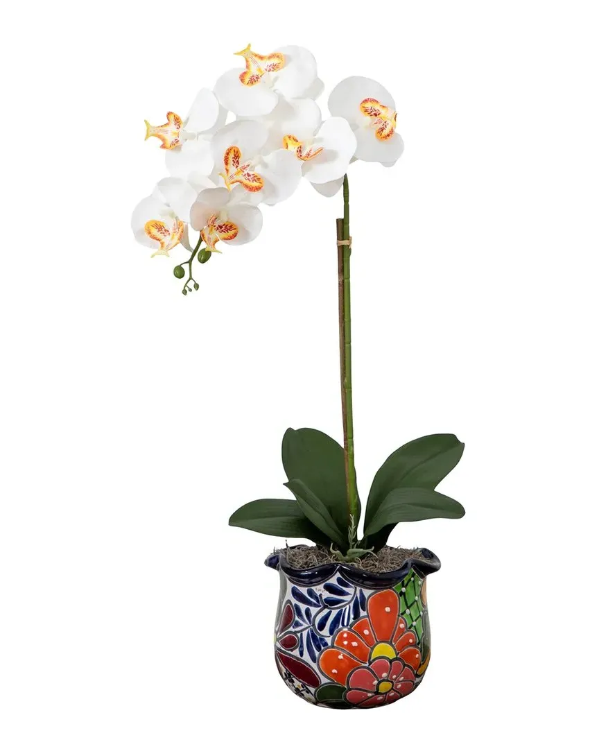 Artificial Orchid Arrangement in Talavera Ceramic Planter - White