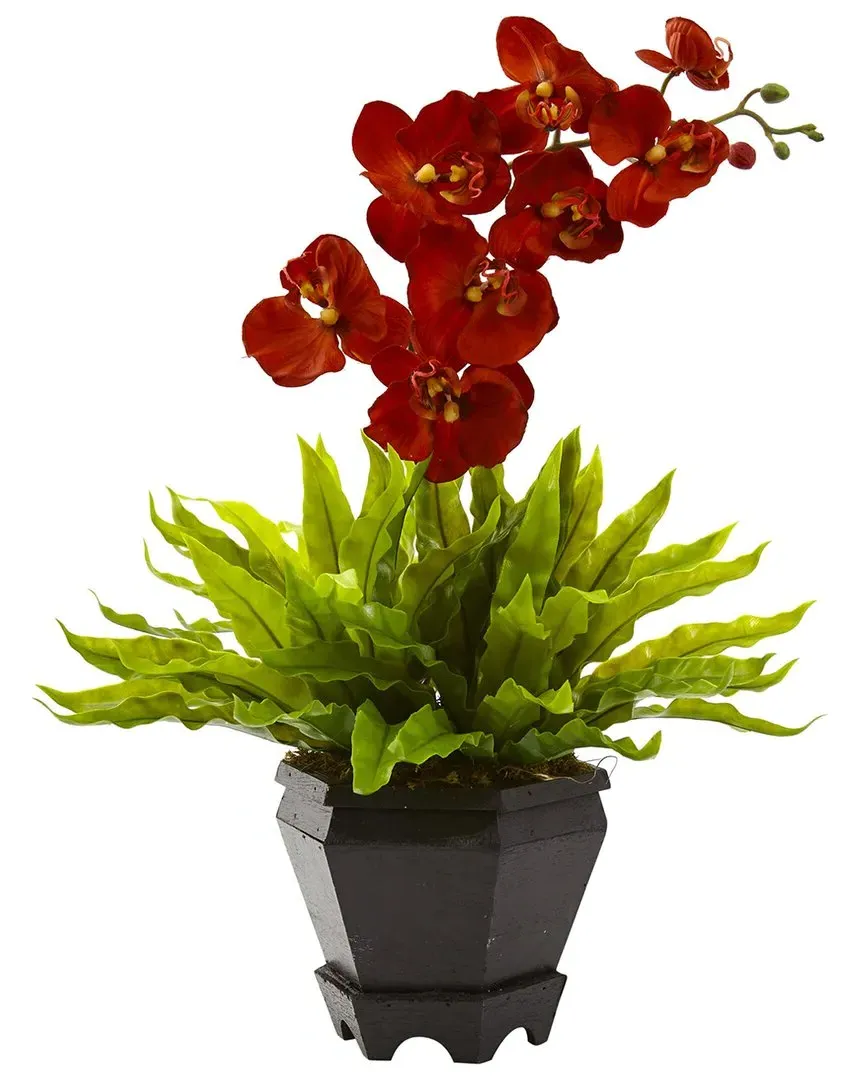 Birds Nest Fern & Orchid Silk Arrangement with Wood Planter image