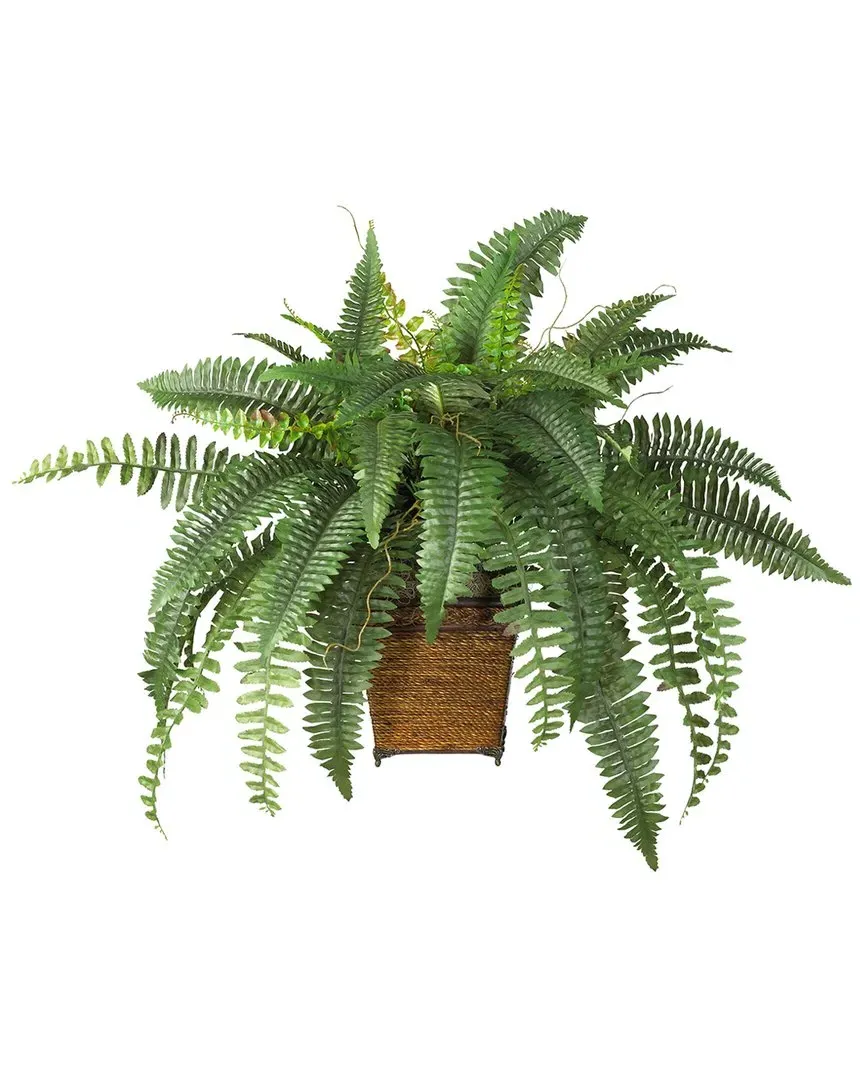 Boston Fern with Wicker Basket Silk Plant - Green image