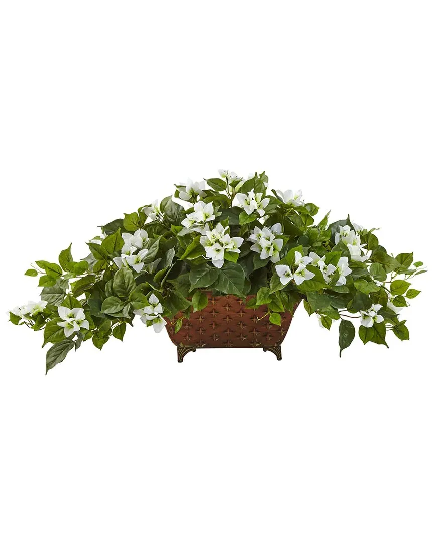 Bougainvillea in Metal Planter - White