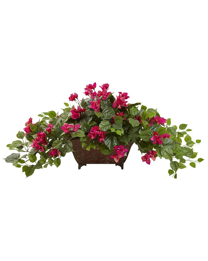 Bougainvillea in Metal Planter image