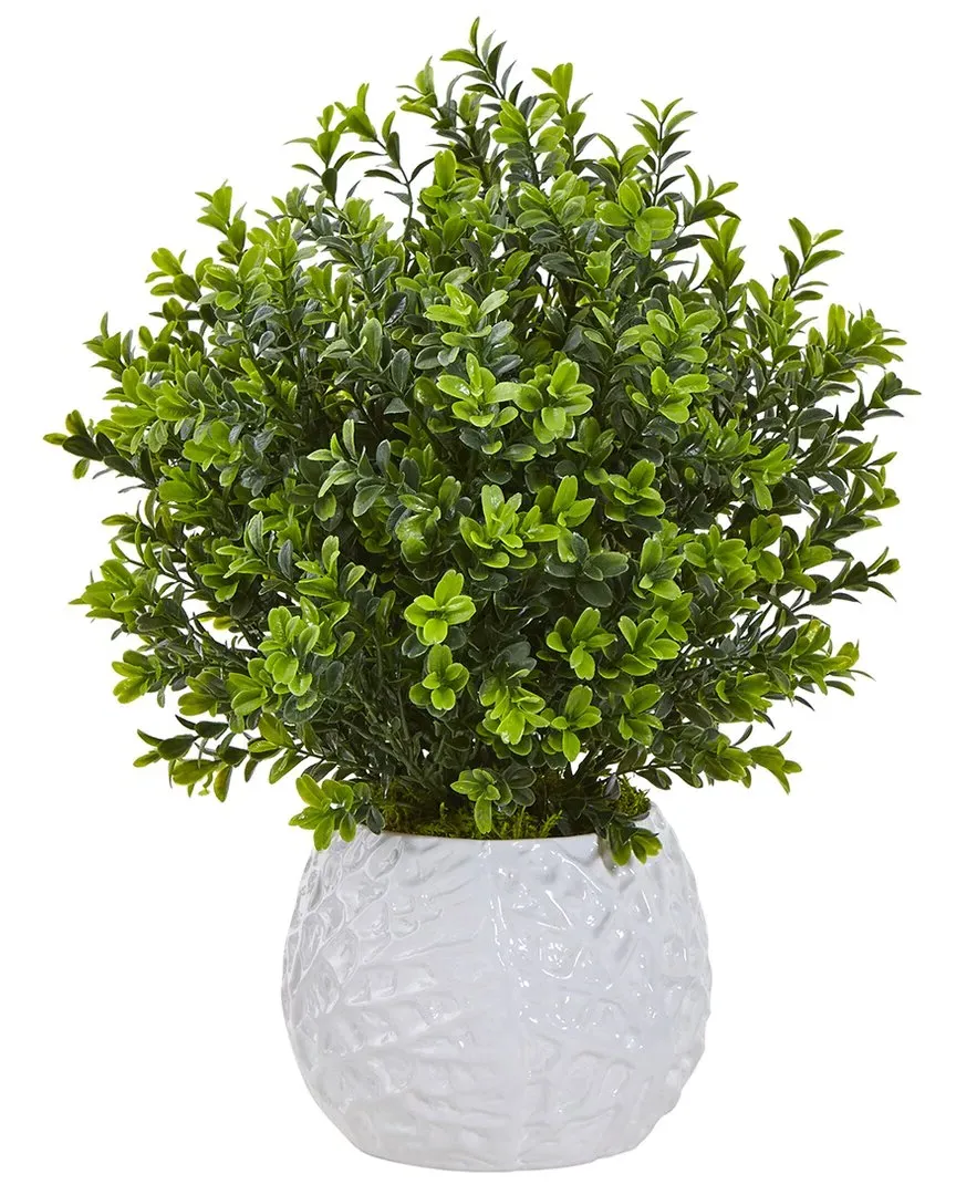 Boxwood Evergreen Artificial Plant in White Vase - Green