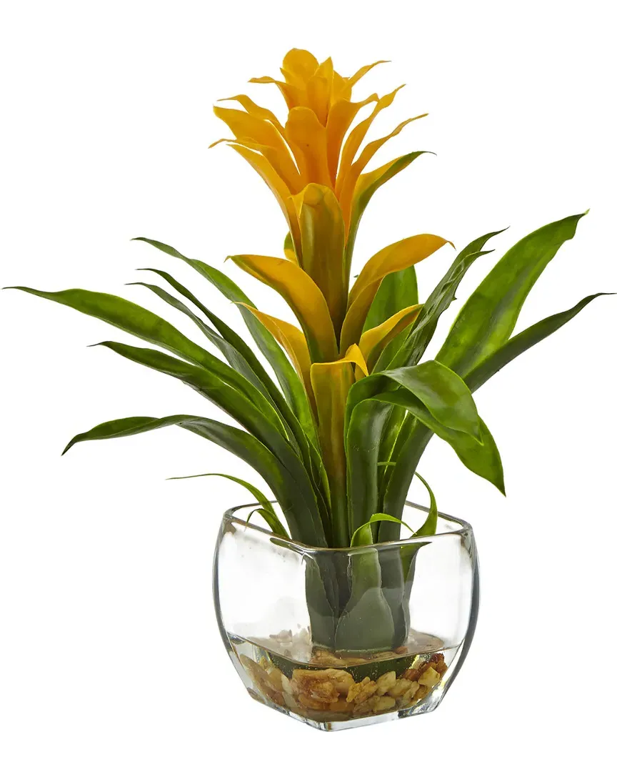 Bromeliad with Glass Vase Arrangement - Yellow image