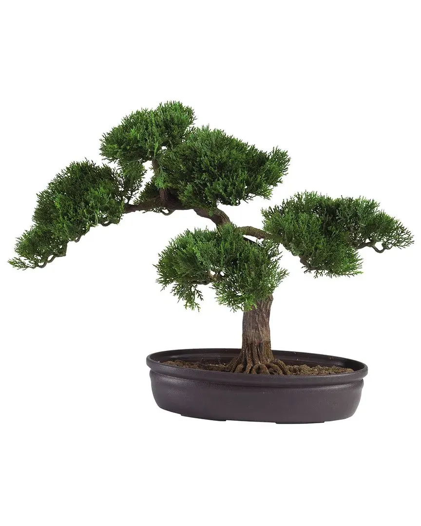 Cedar Bonsai Silk Plant - Green image