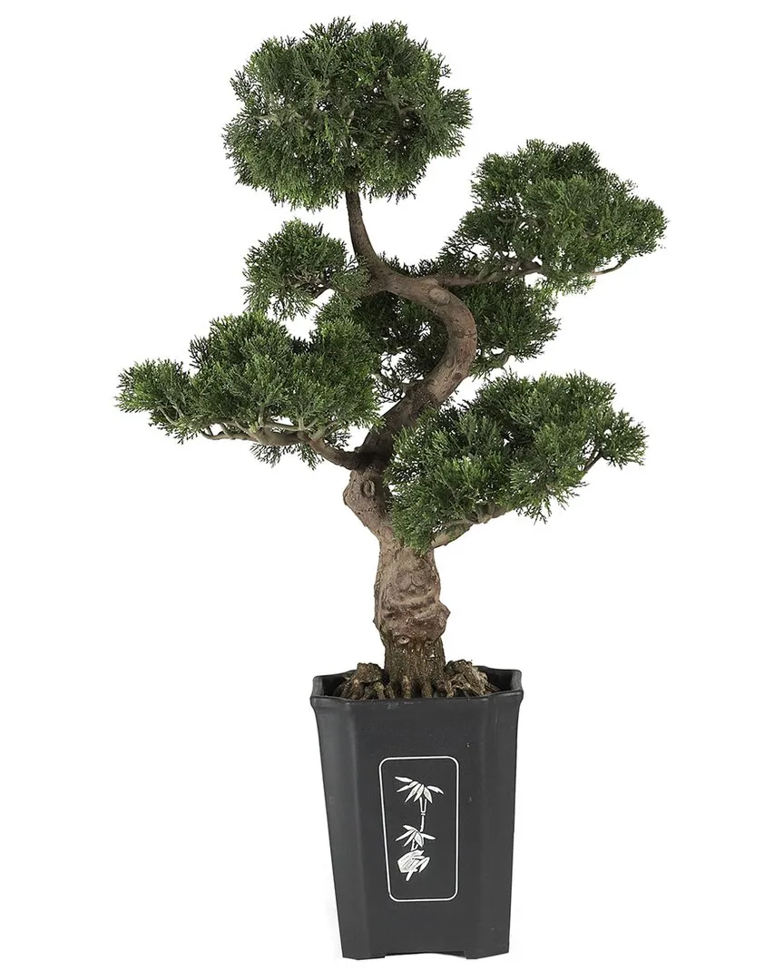 Cedar Bonsai Silk Plant with Bamboo Planter - Green