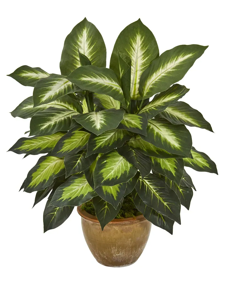 Dieffenbachia Artificial Plant - Green image