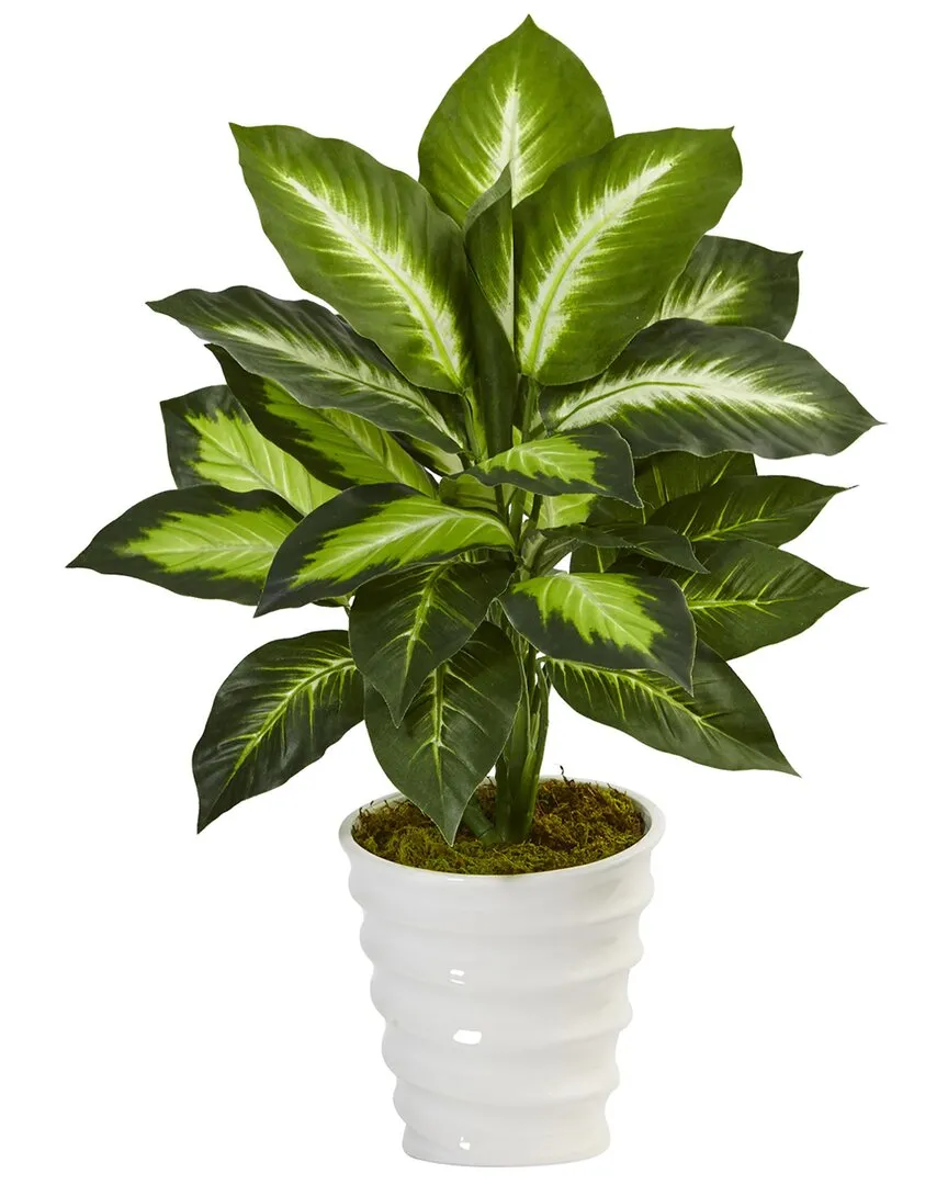 Dieffenbachia Artificial Plant in Swirl Planter - Green