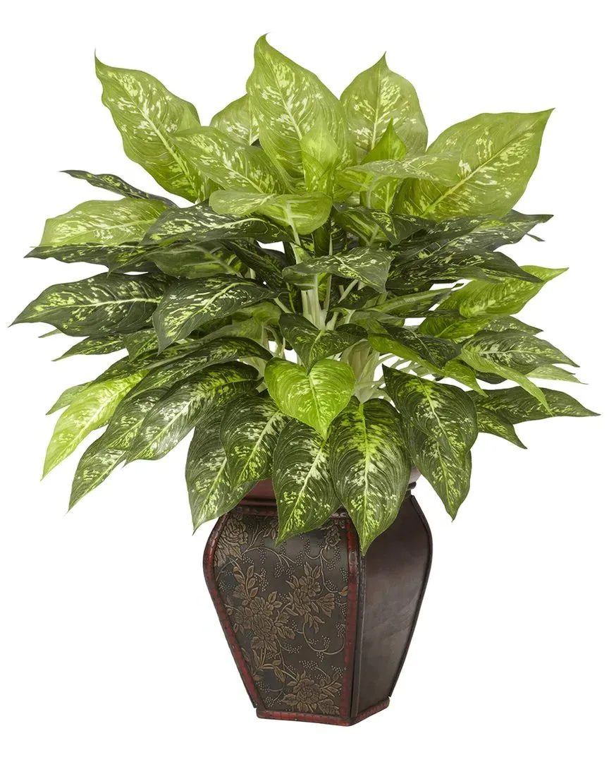Dieffenbachia Silk Plant with Decorative Vase - Green image