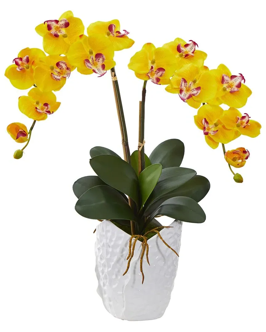Double Phalaenopsis Orchid Artificial Arrangement - Yellow image