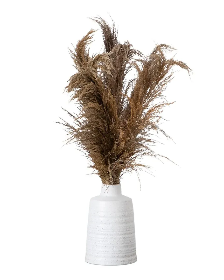 Dried Pampas Arrangement in Ceramic Vase - Brown image