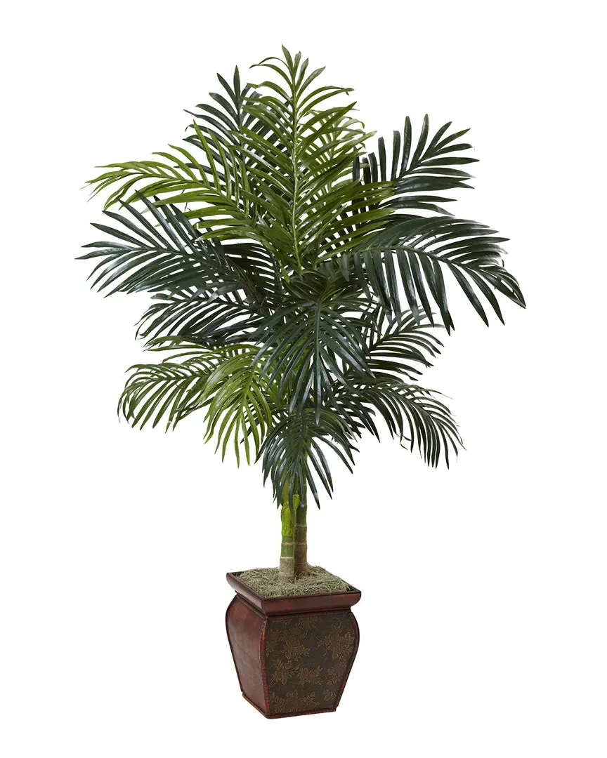 Golden Cane Palm with Decorative Container - Green image