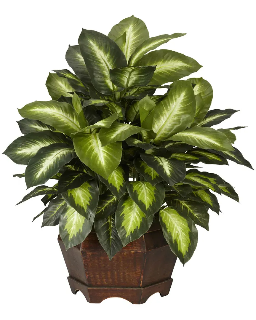 Golden Dieffenbachia Silk Plant with Hexagon Base - Green
