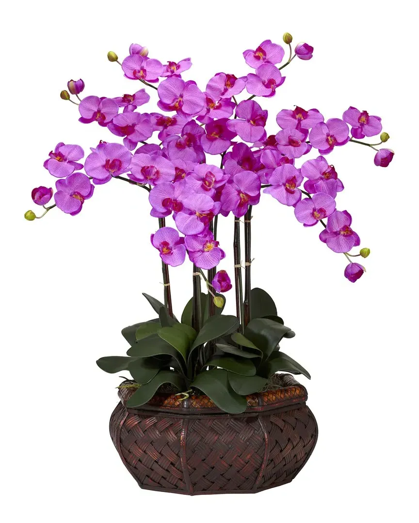 Large Phalaenopsis Silk Flower Arrangement - Orchid image