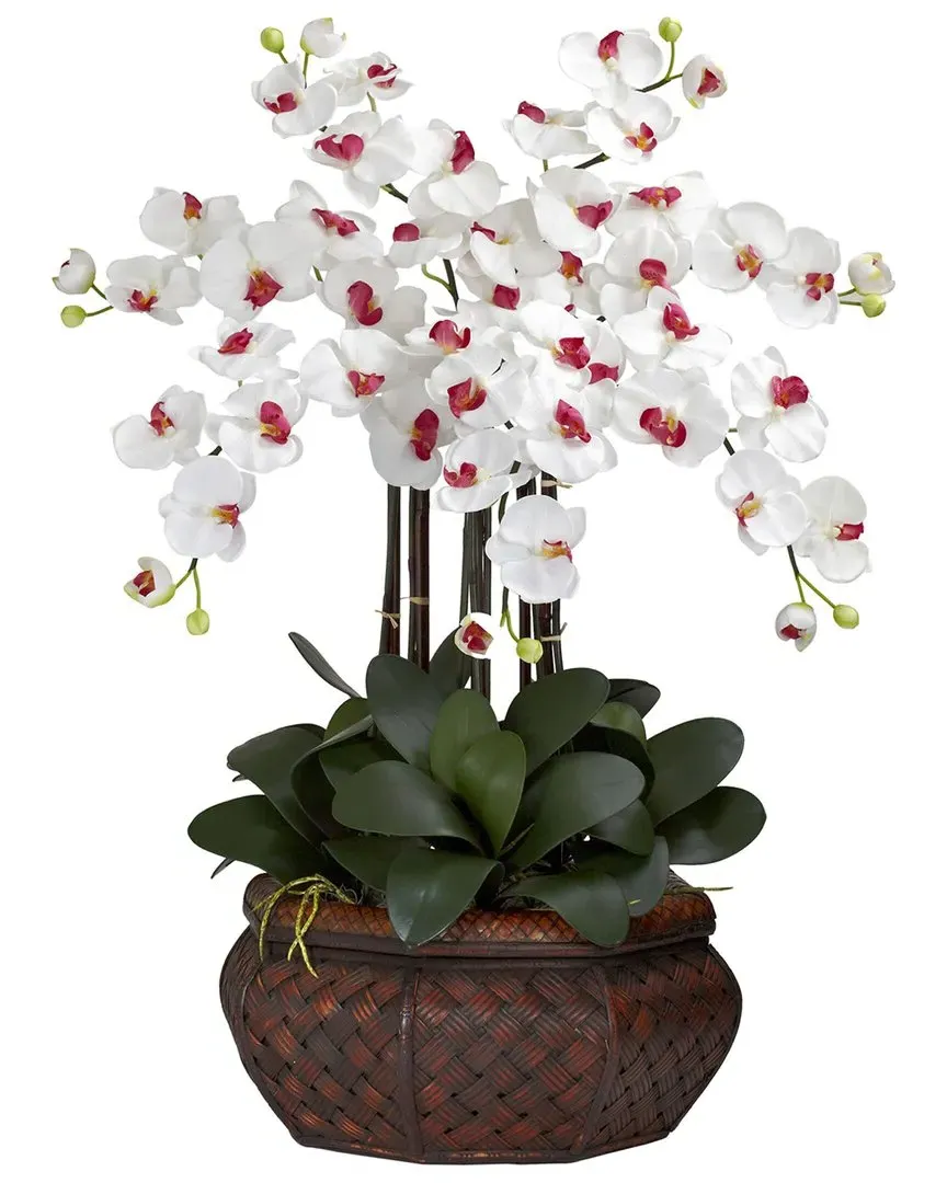 Large Phalaenopsis Silk Flower Arrangement - White