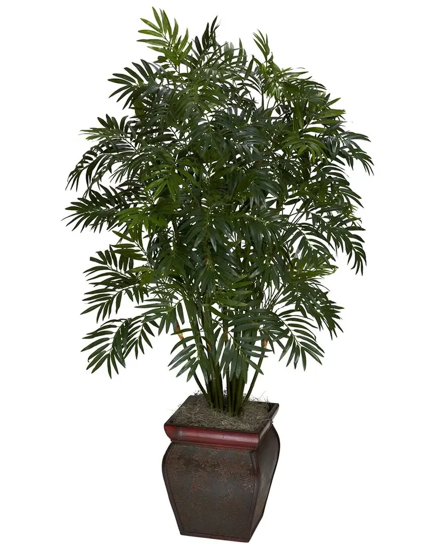 Mini Bamboo Palm with Decorative Vase - Green image