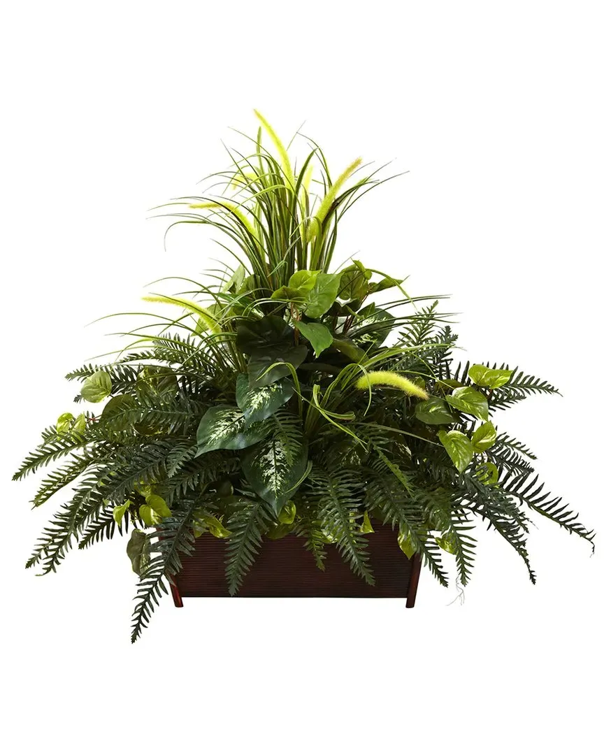 Mixed Grass & River Fern with Wood Planter - Green image