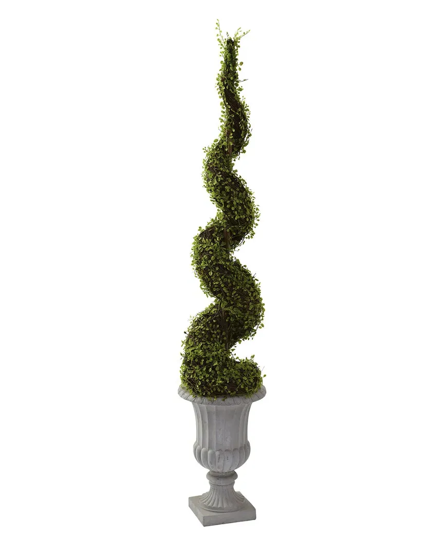 Mohlenbechia Spiral Tree with Decorative Urn - Green image