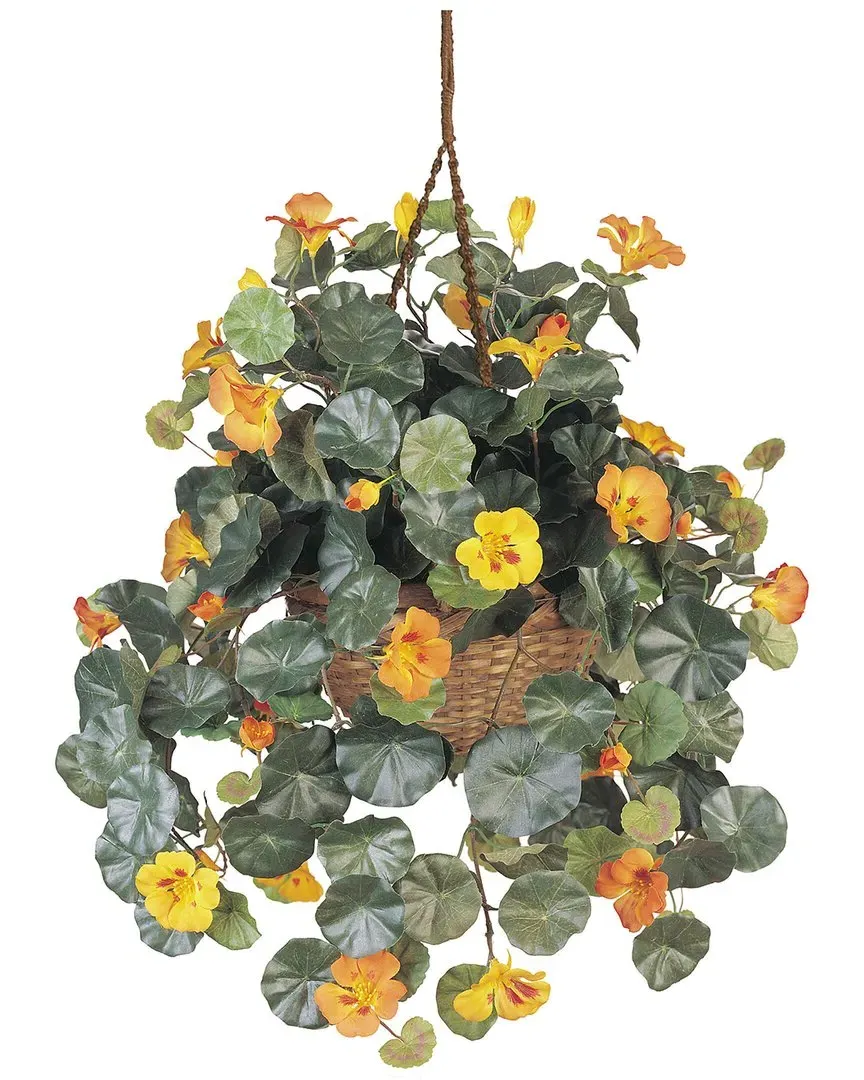 Nasturtium Silk Hanging Basket - Gold image