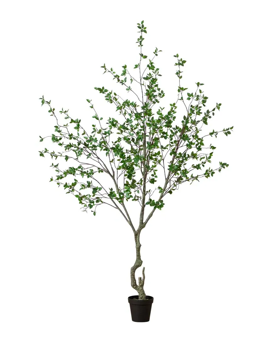 Nearly Natural 10ft Citrus Artificial Tree - Green image