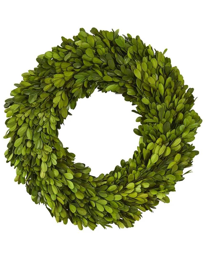 Nearly Natural 14in Preserved Boxwood Wreath - Green image