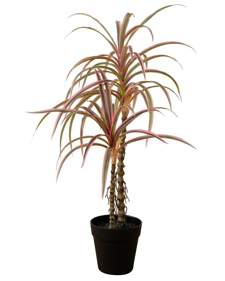 Nearly Natural 2ft Artificial Dracaena Marginata Plant - Green image