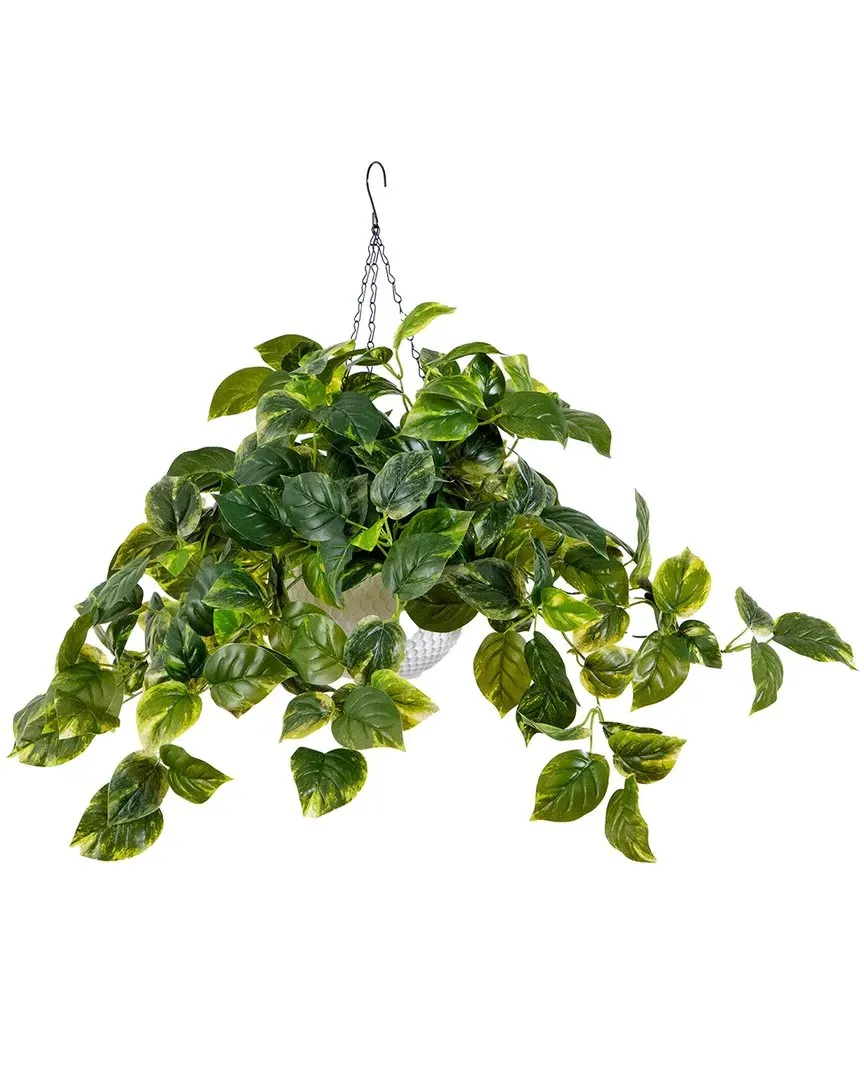 Nearly Natural Artificial Pothos Hanging Basket with LED Lights image