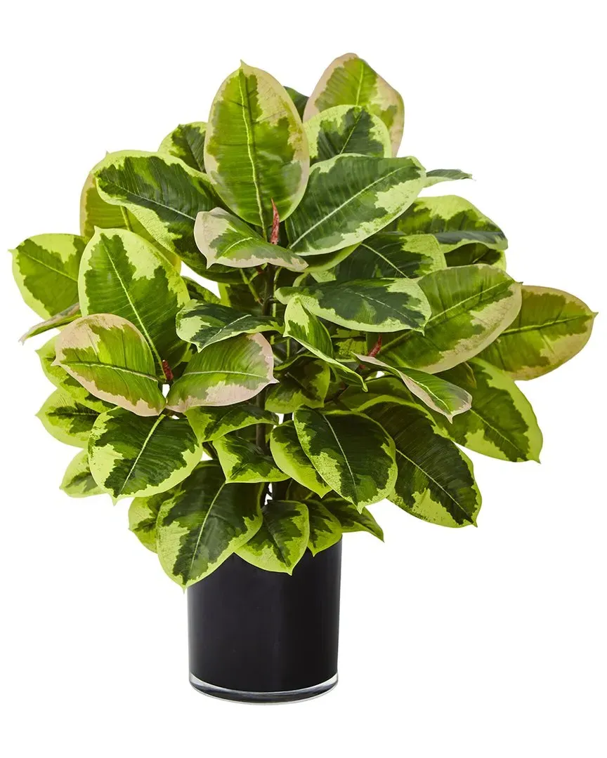 Nearly Natural Artificial Rubber Plant in Glossy Cylinder - Green image