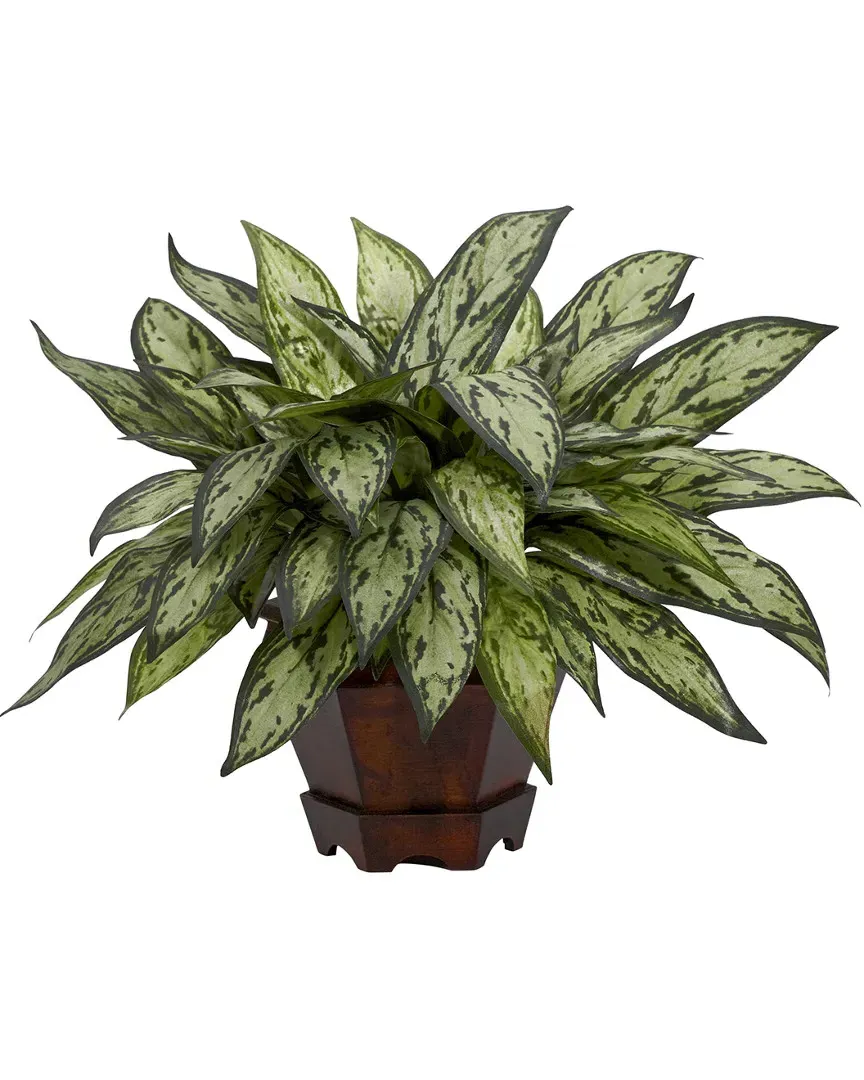 Nearly Natural Triple Silver Queen Plant with Hexagon Vase - Green image