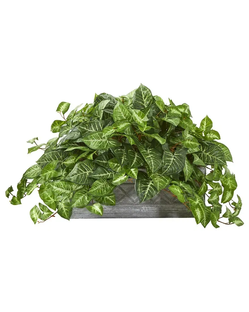 Nephthytis Artificial Plant in Stone Planter - Green image