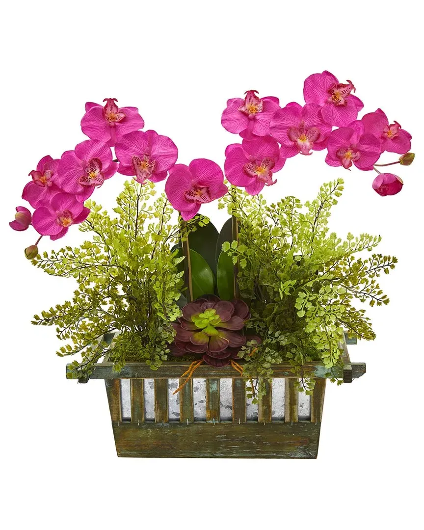 Orchid & Succulent Artificial Arrangement - Pink