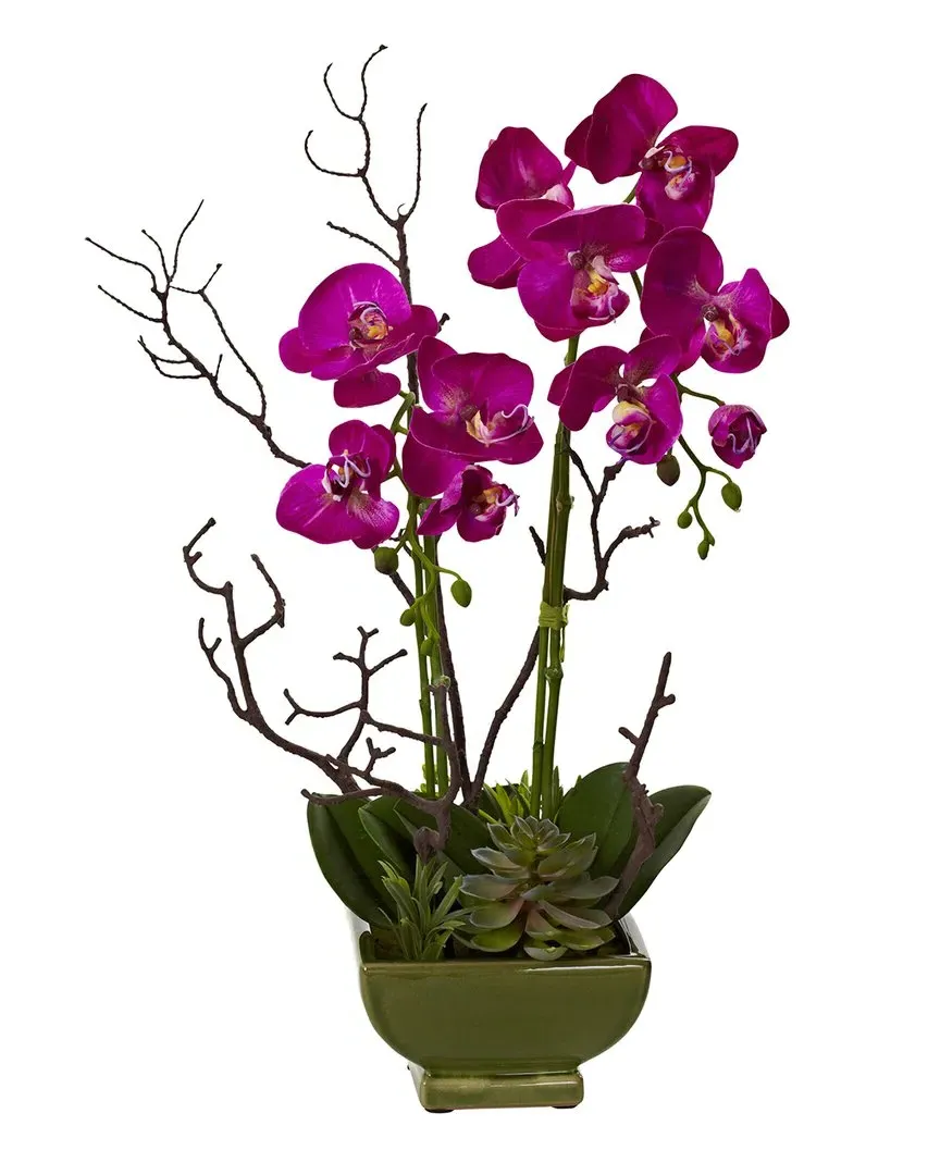 Orchid & Succulent Floral Arrangement - Pink image