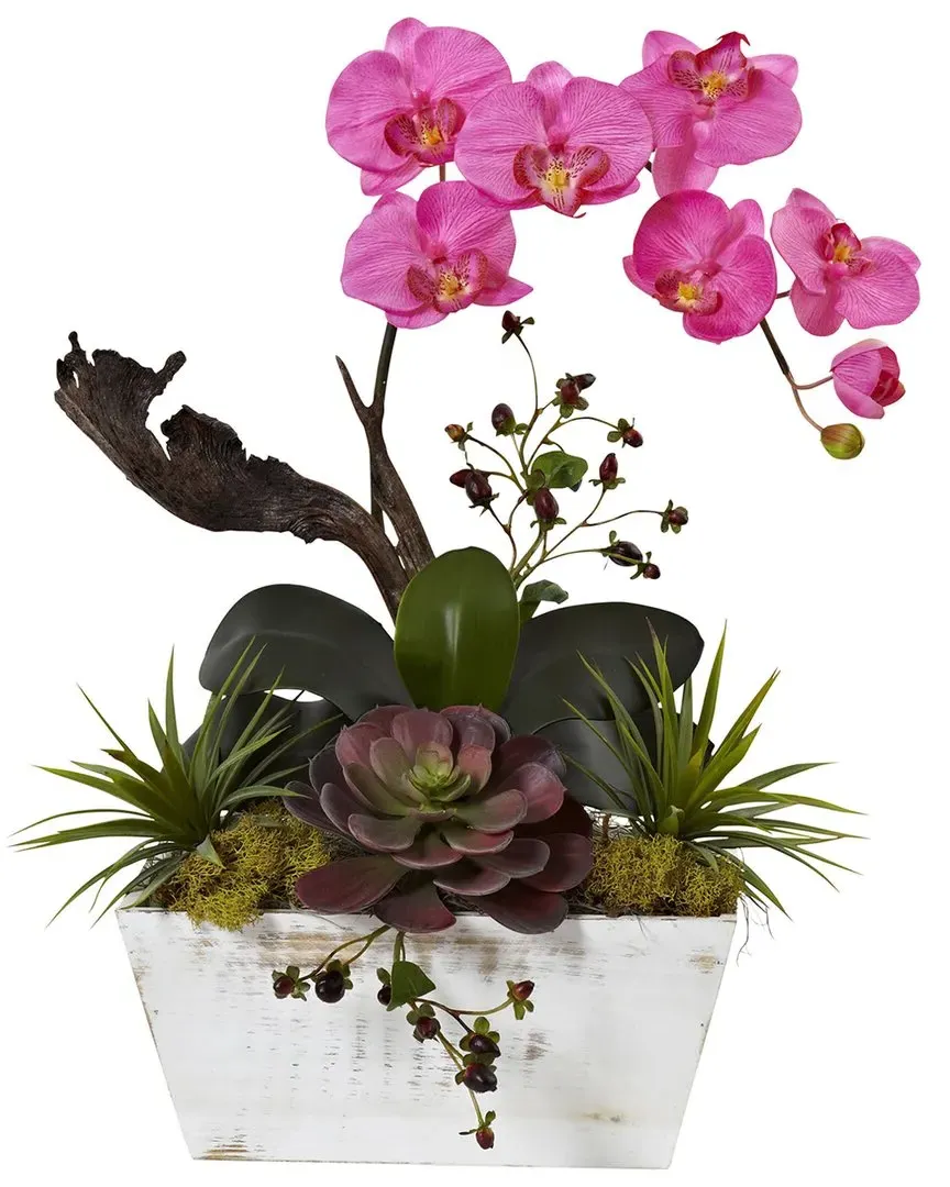 Orchid & Succulent Garden with Planter - Pink image