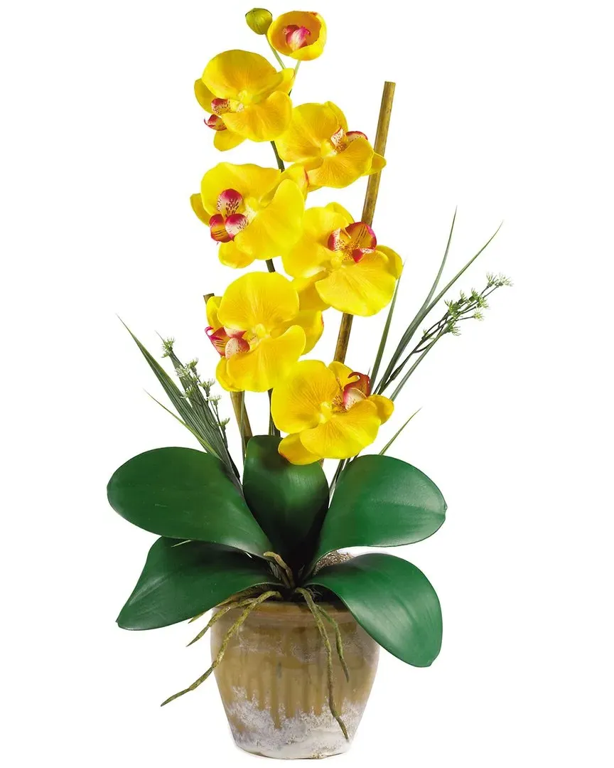 Phalaenopsis Silk Orchid Arrangement - Yellow, Ceramic image