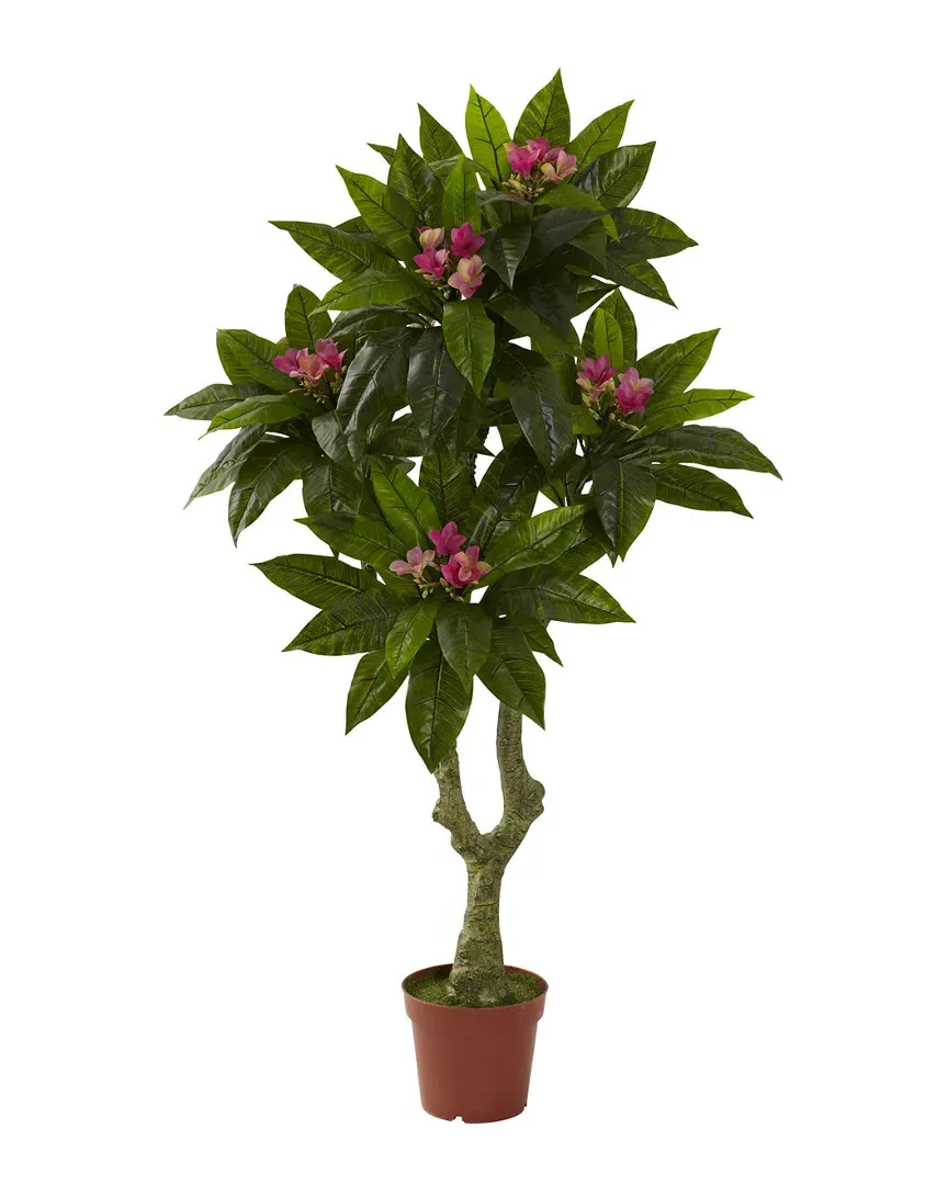 Plumeria Tree UV Resistant - Green image
