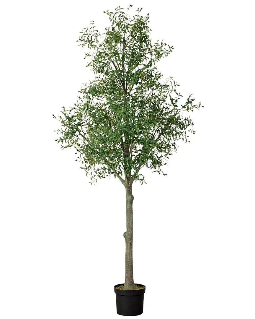 Podocarpus Bonsai Planter with Moss - Green, Ceramic image