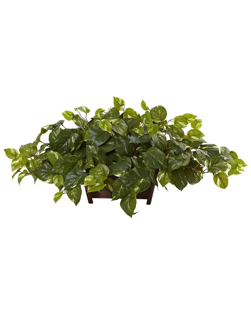 Pothos with Rectangle Decorative Planter - Green