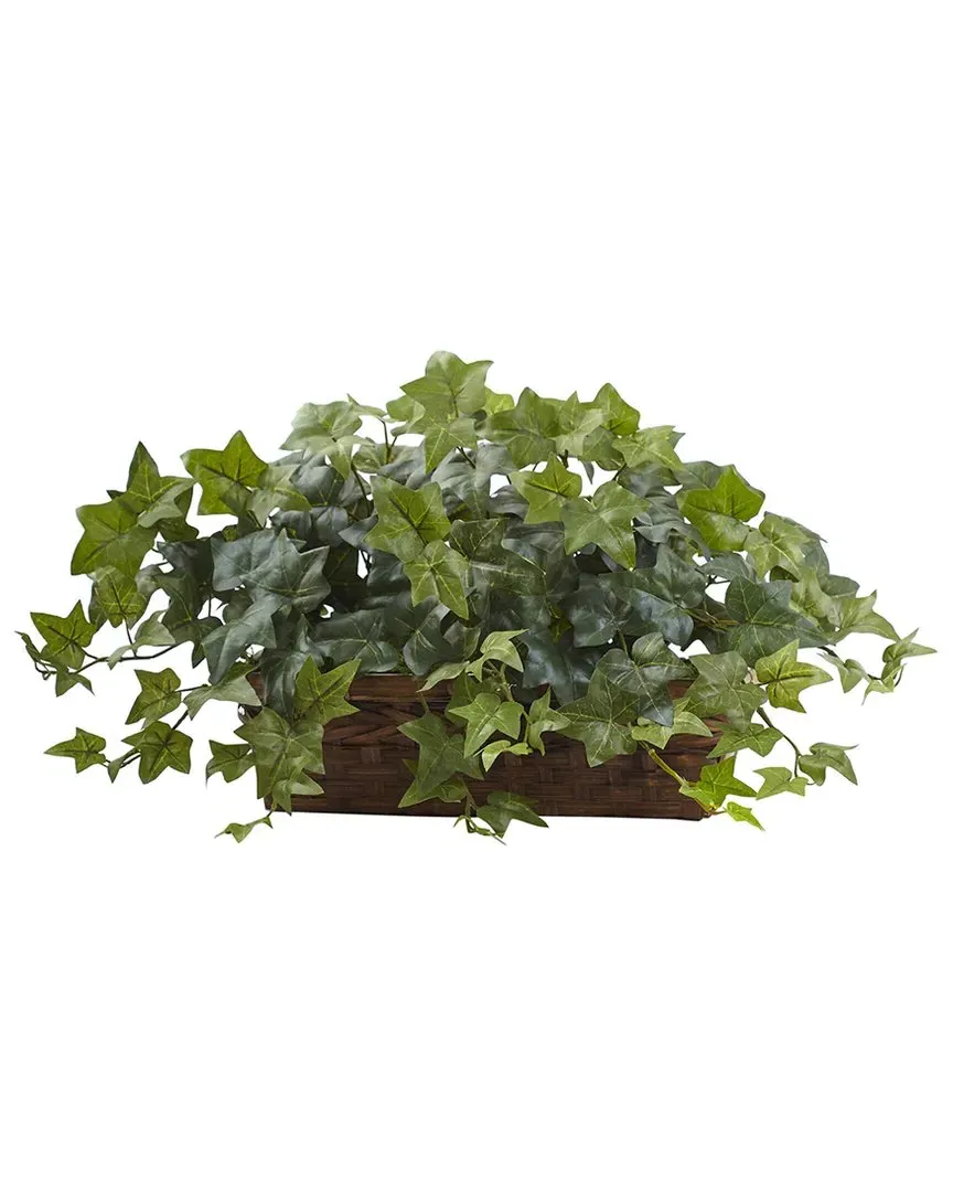Puff Ivy with Ledge Basket - Green image