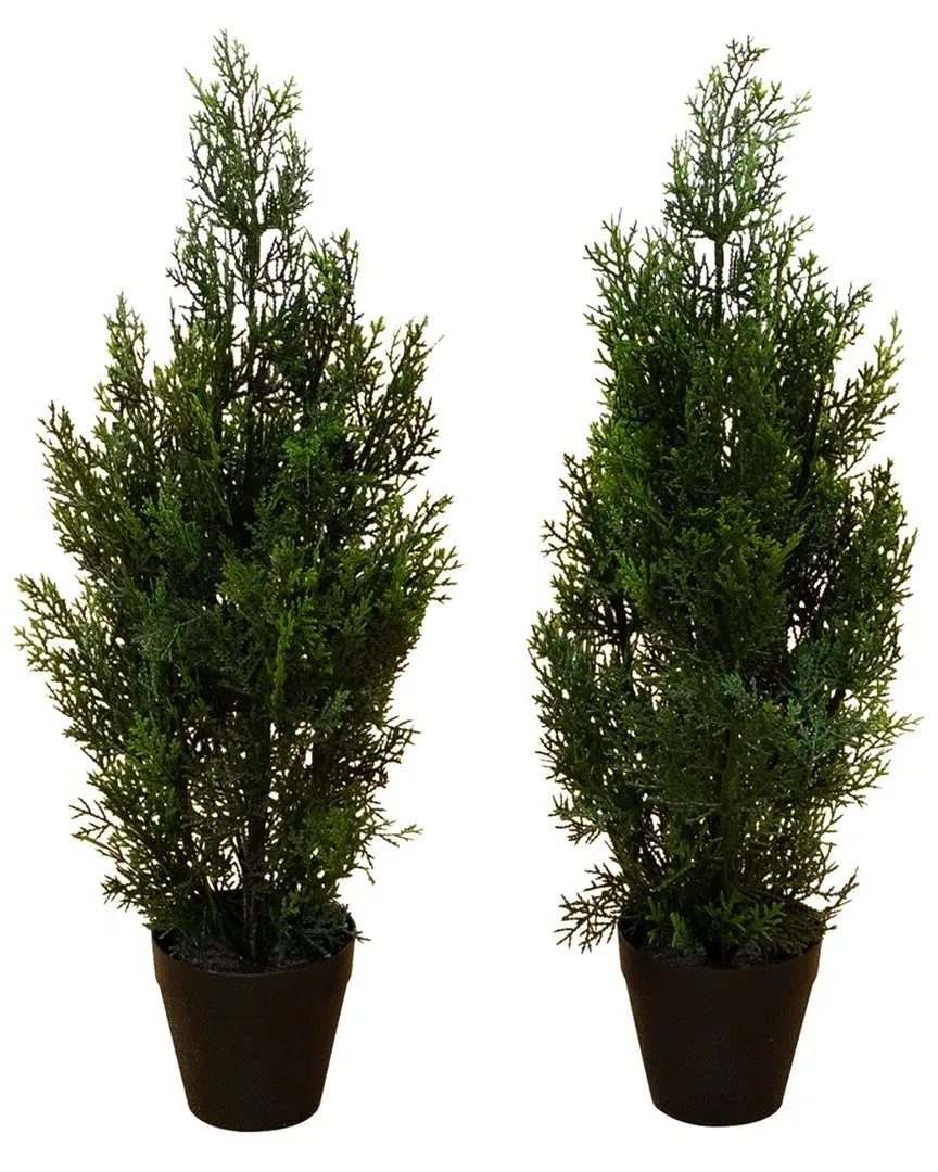 Set of 2 2ft Artificial Cedar Pine Trees - Green image