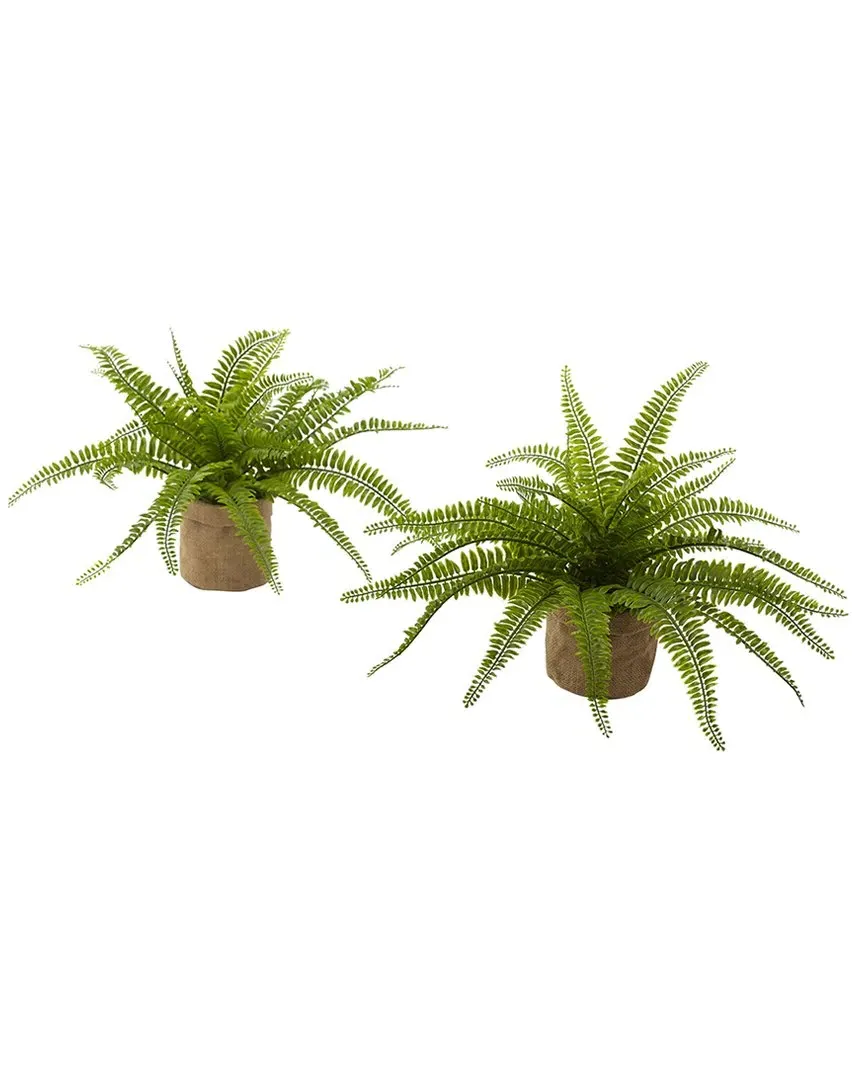 Set of 2 Boston Ferns with Burlap Planter - Green image