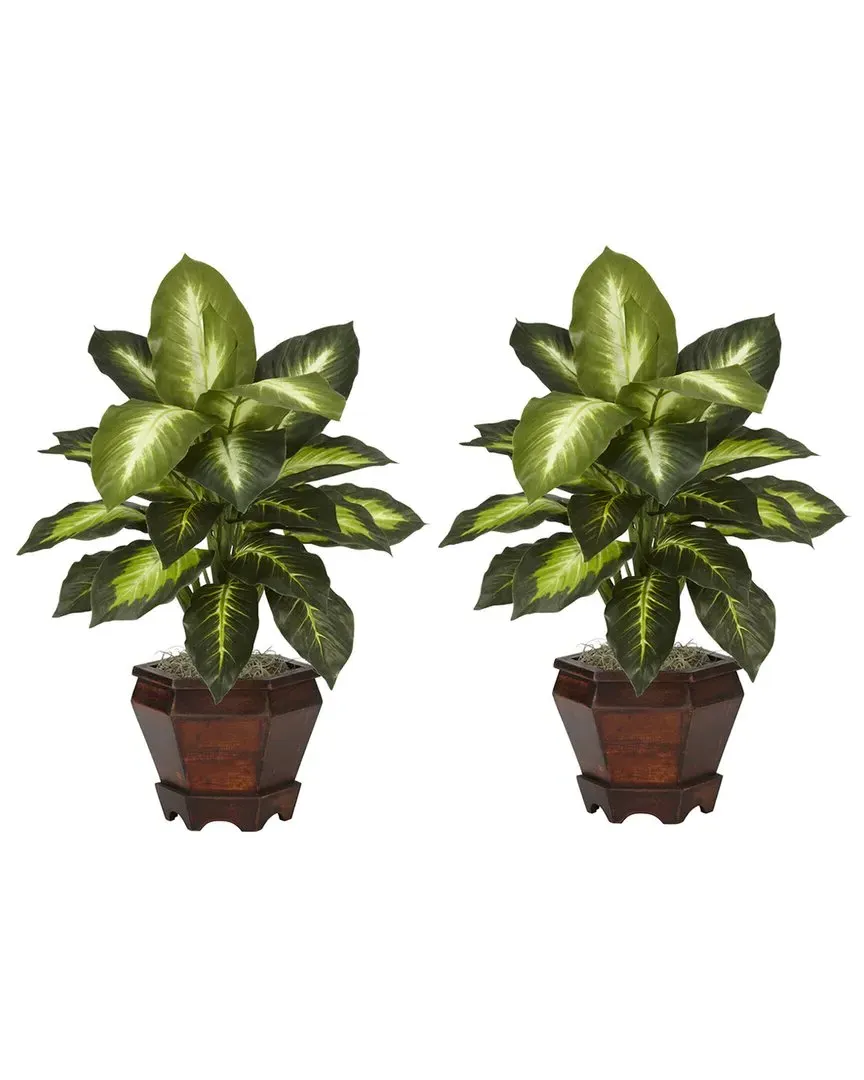 Set of 2 Dieffenbachia Silk Plants with Wood Vase - Golden