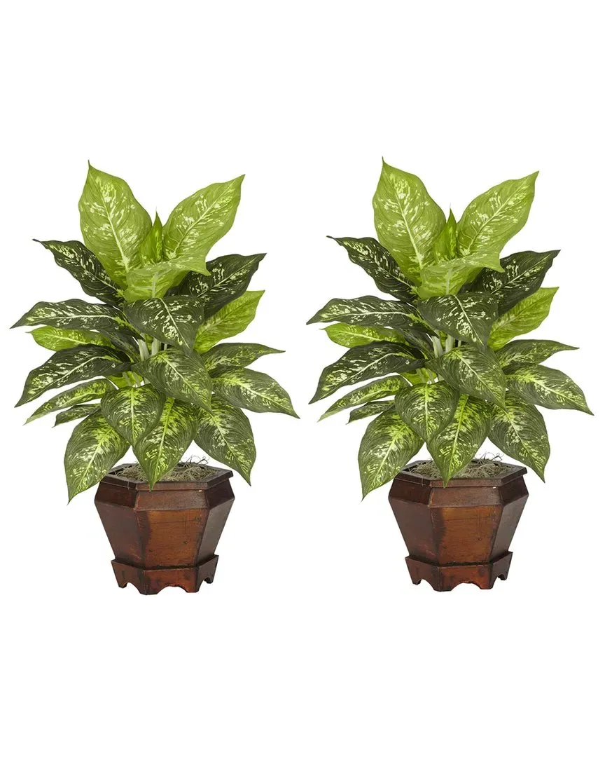 Set of 2 Dieffenbachia Silk Plants with Wood Vase